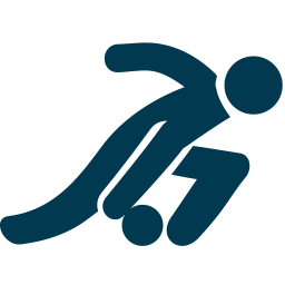 Indoor bowls icon